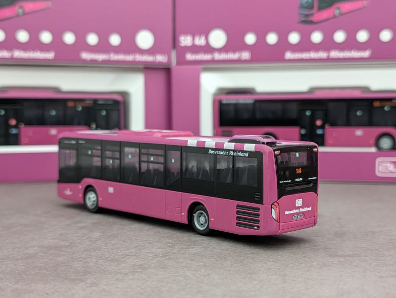 BVR MAN Lions Intercity LE - Linie SB46 Nijmegen (NL) CS