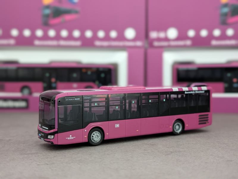 BVR MAN Lions Intercity LE - Linie SB46 Nijmegen (NL) CS