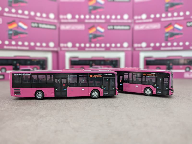 BVR MAN Lions Intercity LE - Linie SB46 Nijmegen (NL) CS